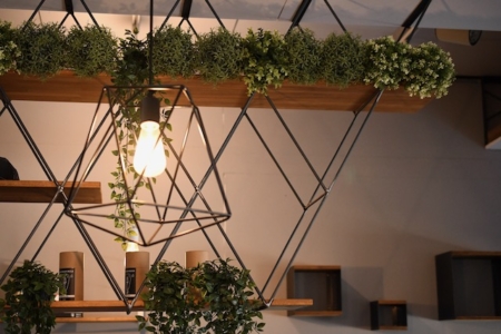 写真：コロナめ！！