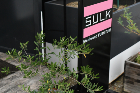 写真：やっと通常通りに