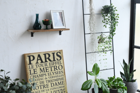 写真：おうち時間にいかがですか