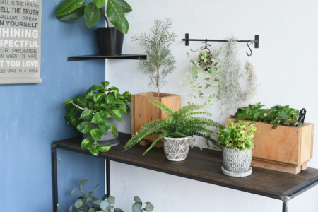 写真：コーナーシェルフ