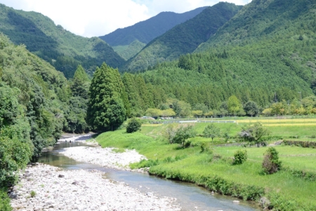 写真：SULKの夏休み