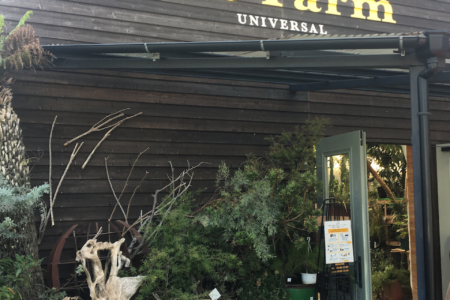 写真：tha Farmさんへ♪