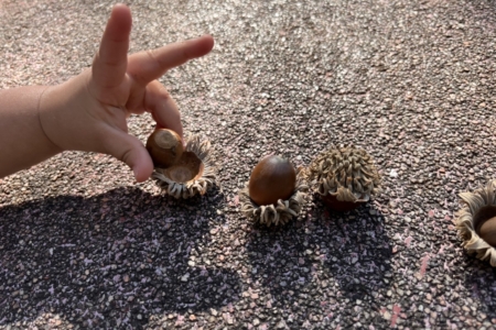 写真：秋といえば