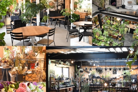 写真：「SULK SAKAI」は「SULK GREEN CAFE SAKAI」に改称しました