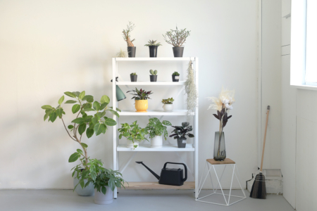 写真：組立式でオプション多数の植物用棚「ボタニカルラック」販売開始