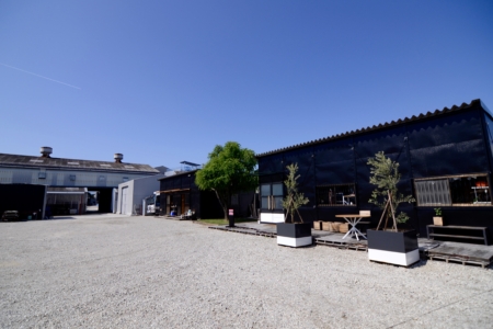 写真：イベント企画中☆